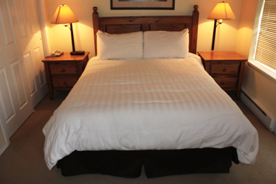 1 Bedroom / 1 Bathroom with Alcove