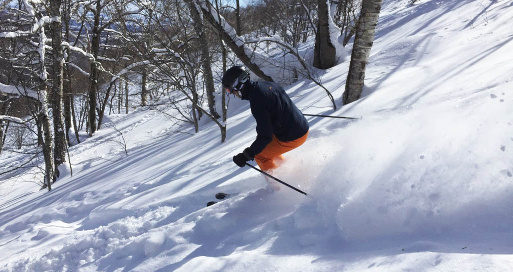 Advanced skiers will love the powder in the trees. Photo: Scout
