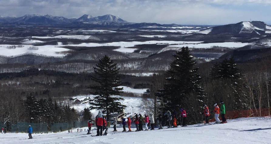 Lessons a go-go. Photo: Scout