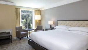 Alpine 2 Bedroom Suite