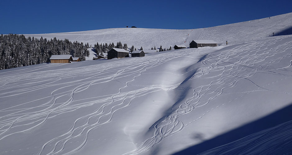 Fresh tracks in Megeve. Photo: Scout