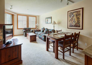 1 Bedroom Condo