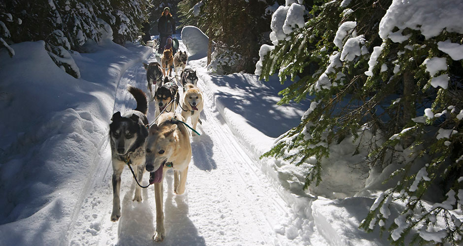 Photo: Sun Peaks Ski Resort