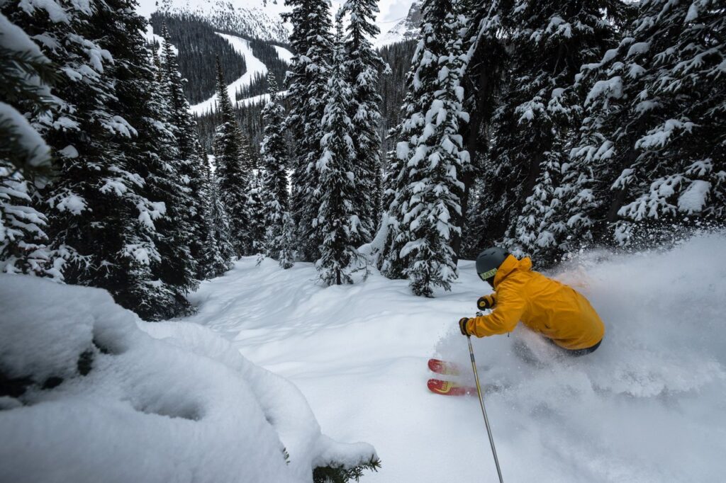 Photo: Reuben Krabbe/Ski Big 3