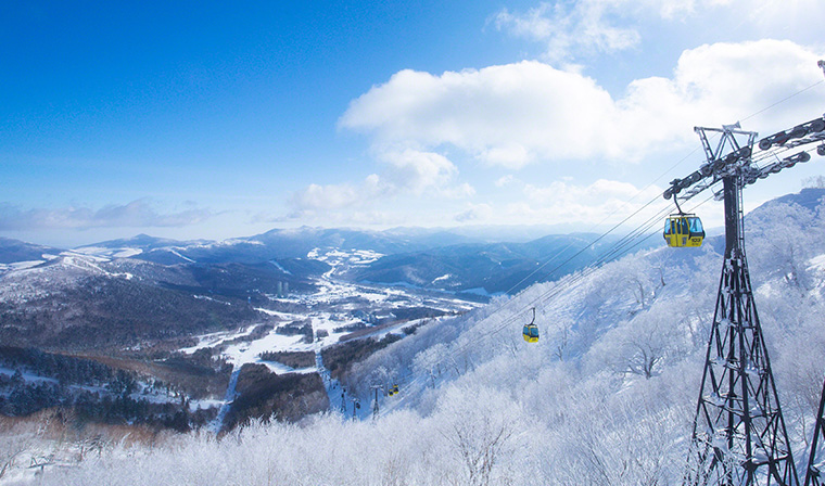 Spectacular ice trees. Photo: Tomamu