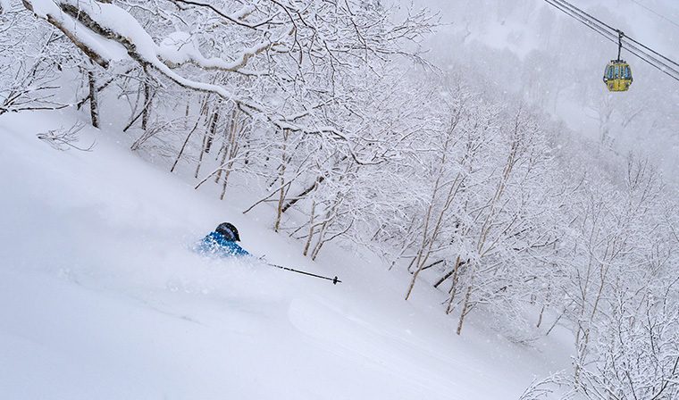 Powder skiing in the experts only area. Photo: Tomamu