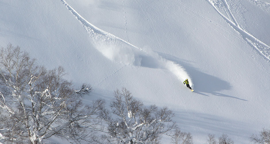 Carving freshies via Cat Skiing. Photo: Tomamu