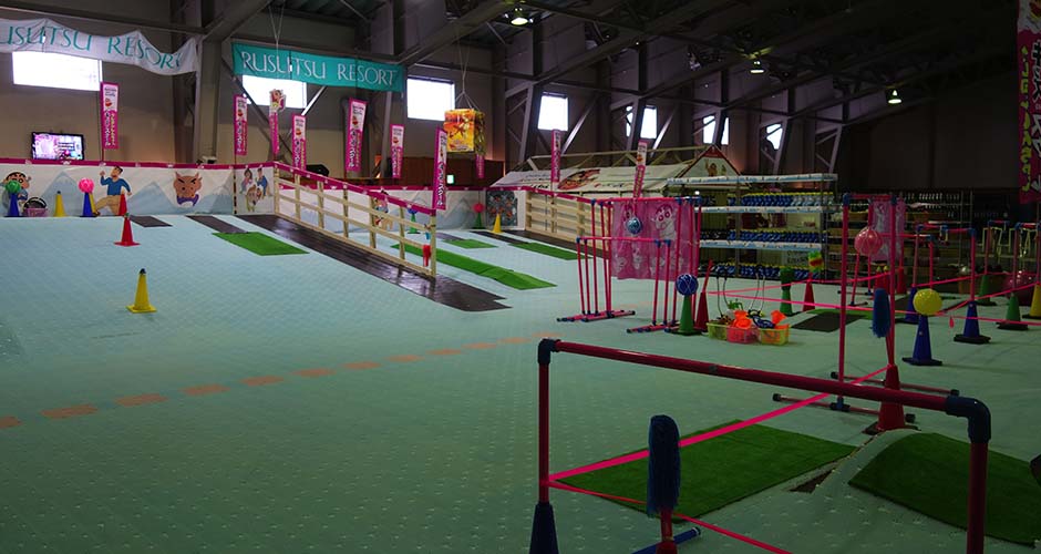 Indoor ski slope. Photo: Scout
