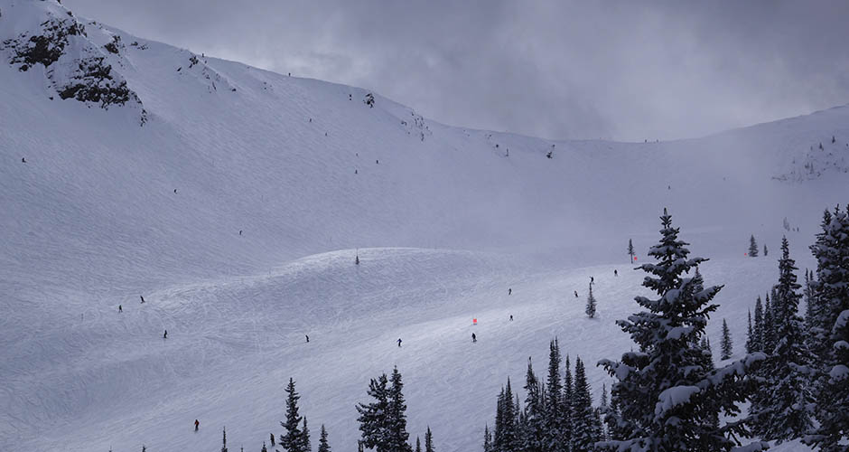 Incredible bowls at Kicking Horse. Photo: Scout