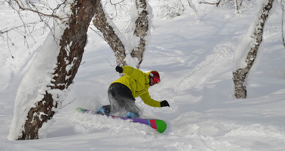 Shredding through the trees. Photo credit: Niseko Village
