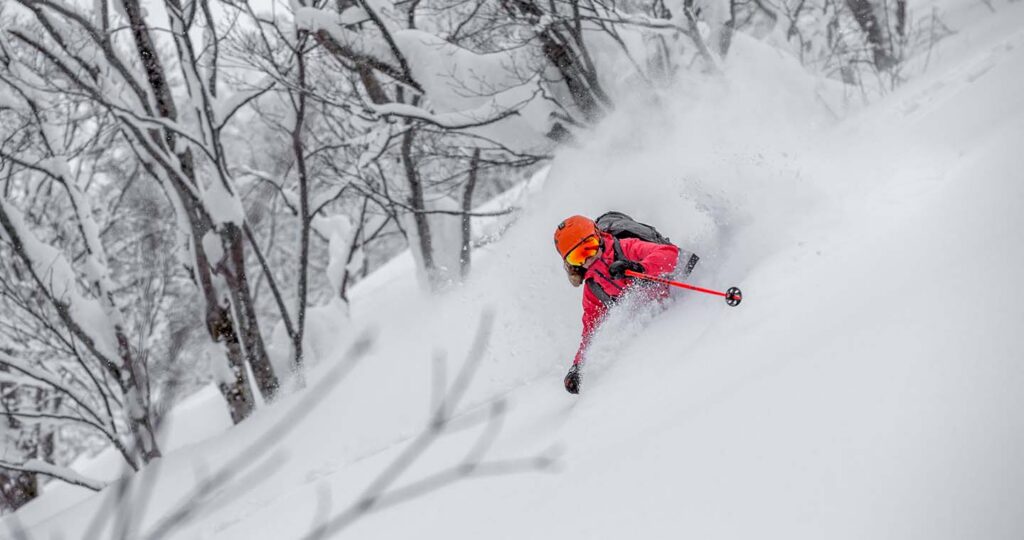 Kiroro has some great tree skiing. Photo: Kiroro Resort