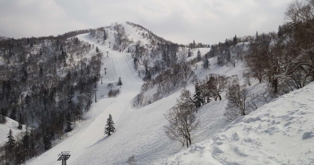 Nice long groomers. Photo: Scout