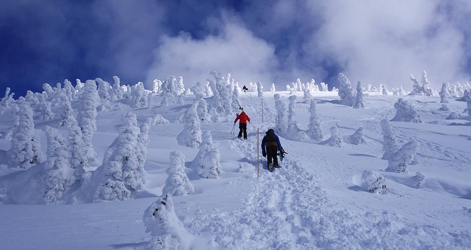 Hiking above the Stoke Lift. Photo: Scout