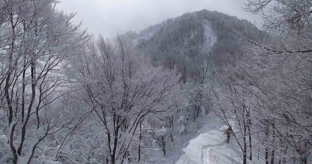 Accessing Backcountry. Photo: Madarao