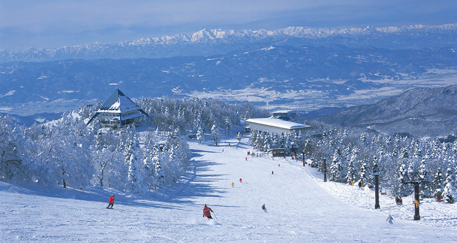 Zao Onsen ski slopes. Photo: Zao Onsen Tourism