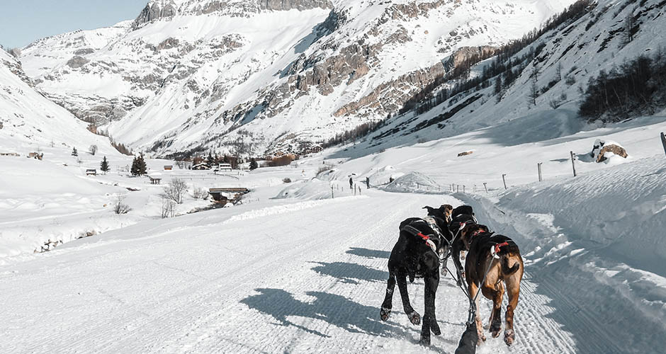 Enjoy some dog sledding near Val d’Isere.  Photo: Val d’Isere Tourism