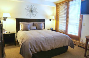 1 Bedroom Condo