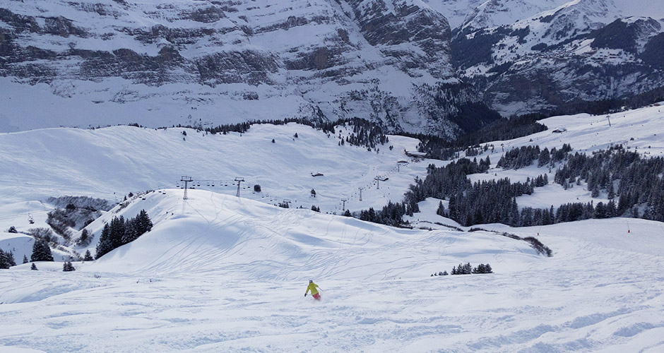 Powder skiing in Wengen. Photo: Scout
