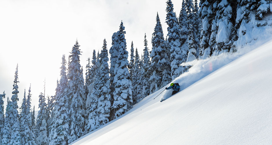 Fresh tracks. Photo: Destination Canada/Grant Gunderson