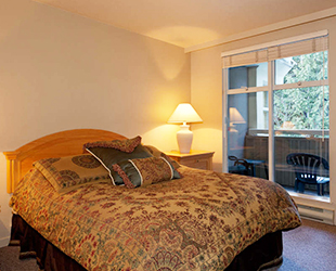1 Bedroom Condo