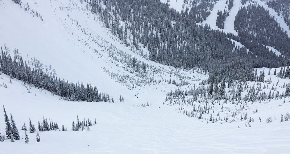 Fresh powder refills and plenty of space to get fresh tracks. Photo: Scout