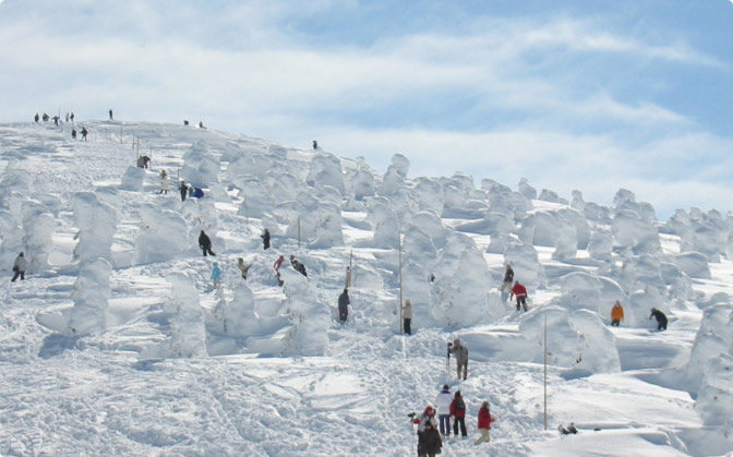 It’s possible to walk among the Snow monsters with snow shoes. Photo: Zao Onsen Tourism