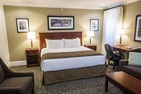 Speciality Guest Rooms