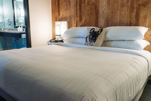 Executive Suite, 1 King Bed