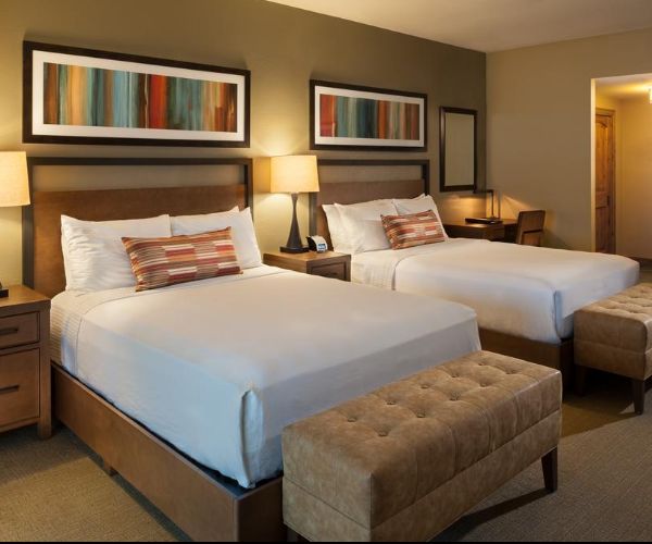 2 Bedroom Suite