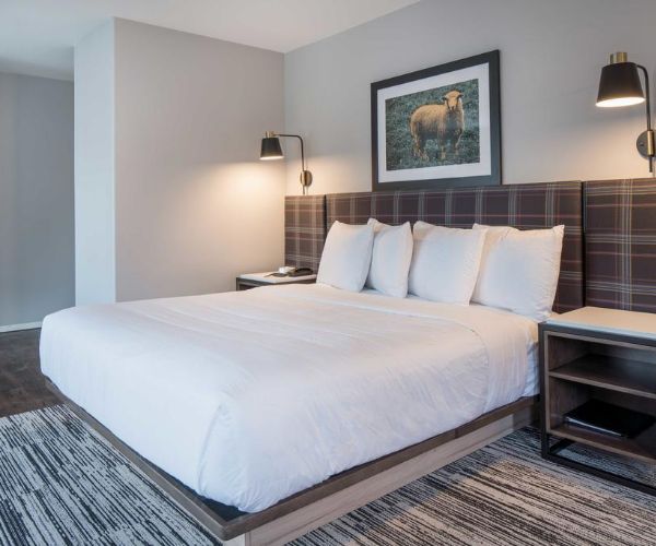 King Room