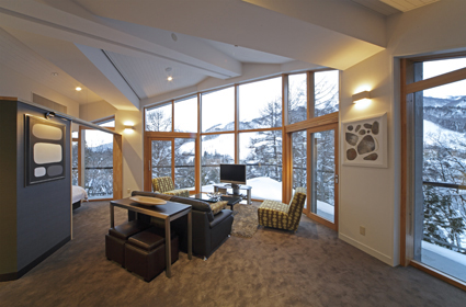 1 Bedroom Penthouse