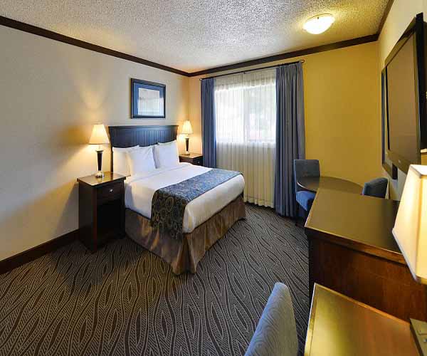 King Studio Suite