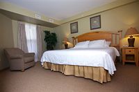 1 Bedroom Suite