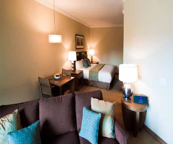 Studio Suite (1 King Bed + Sofa Bed)