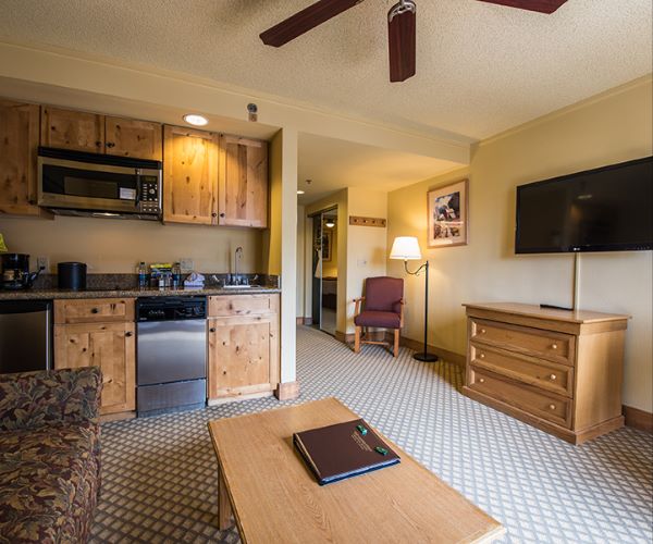 Suite (1 King Bed with Sofabed)