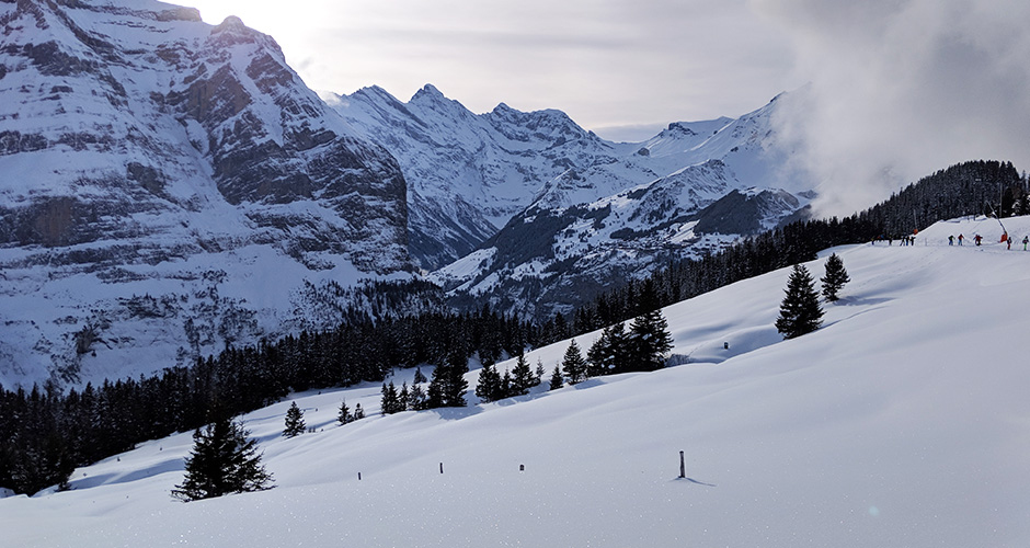 Beautiful scenery wherever you look. Photo: Scout