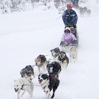 Dog Sledding - Photo: Big White Ski Resort