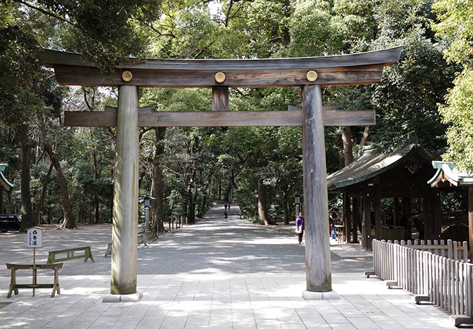 Finding peace and quiet in one of the many parks scattered throughout the city.